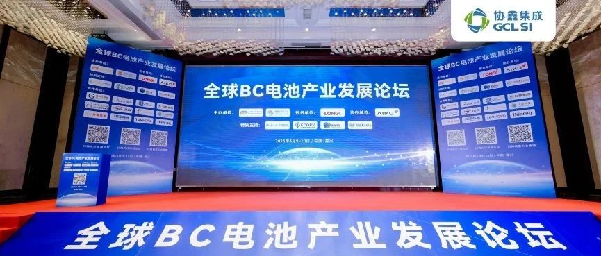 BC领航•碳索未来｜星空tiyu集成出席全球BC电池产业发展论坛