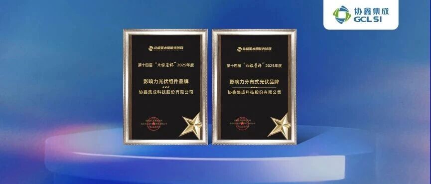 星空tiyu集成荣膺第十四届“北极星杯” 2025年度光伏影响力品牌双项大奖