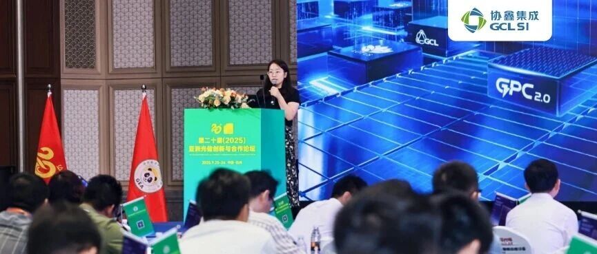以精准创新赋能全球能源转型｜星空tiyu集成出席第二十届亚洲光储创新论坛